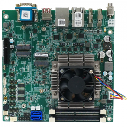 KINO-ADL-P-C-R11